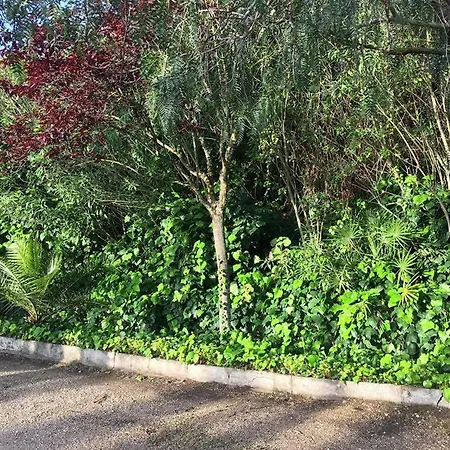 Hébergement de vacances S.v. Baddeonga Russeglia, 98 *
